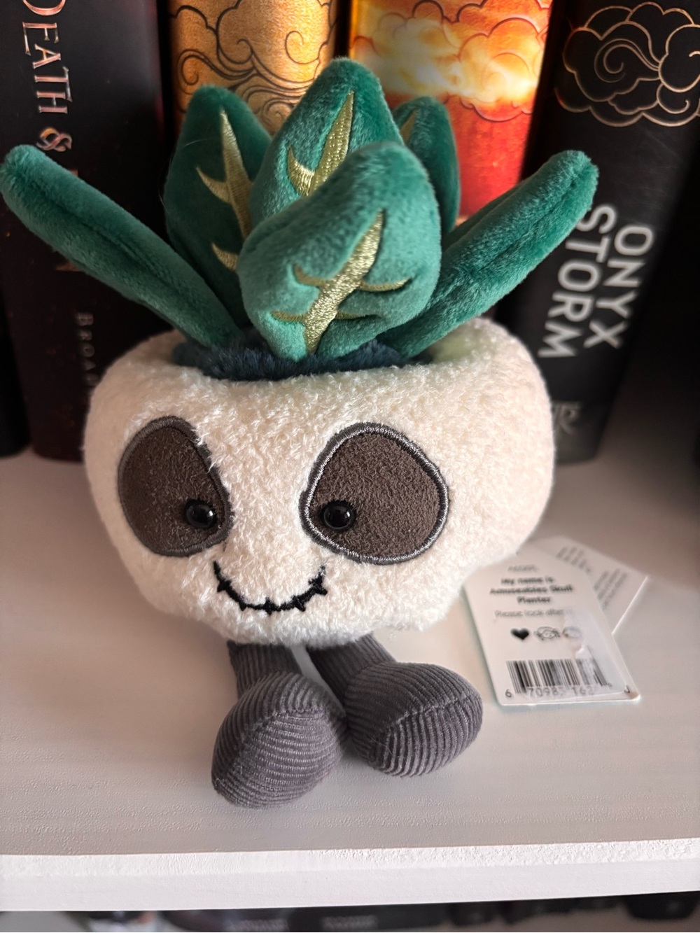 Jellycat skull planter